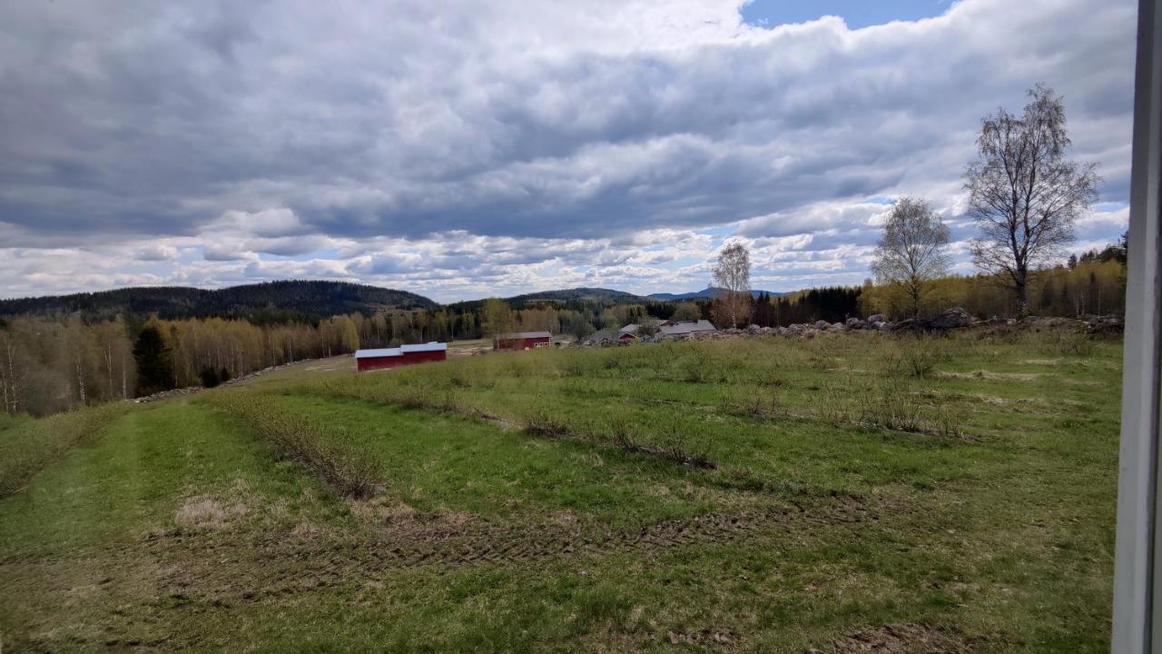Maatilamatkailu Jaenisvaara Koli  Exterior photo