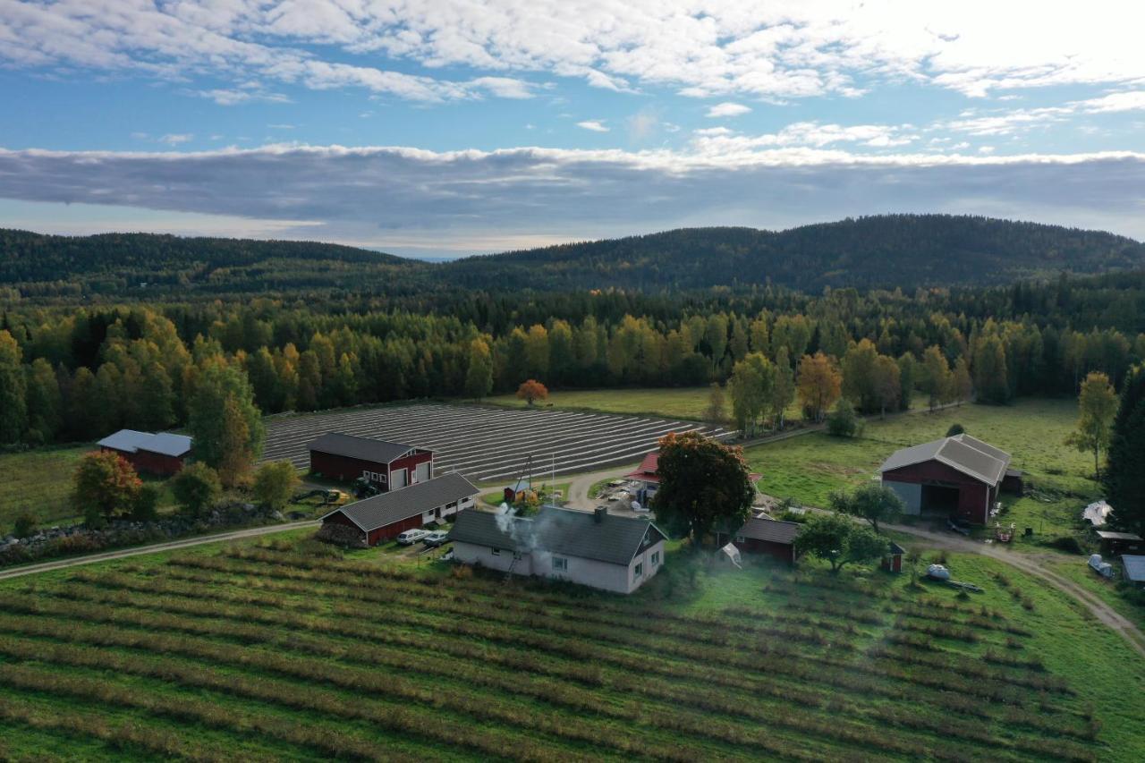Maatilamatkailu Jaenisvaara Koli  Exterior photo