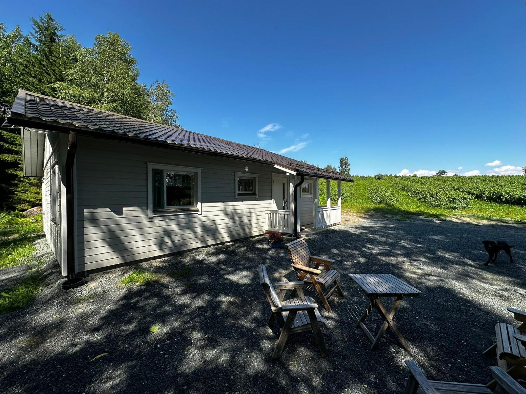 Maatilamatkailu Jaenisvaara Koli  Exterior photo