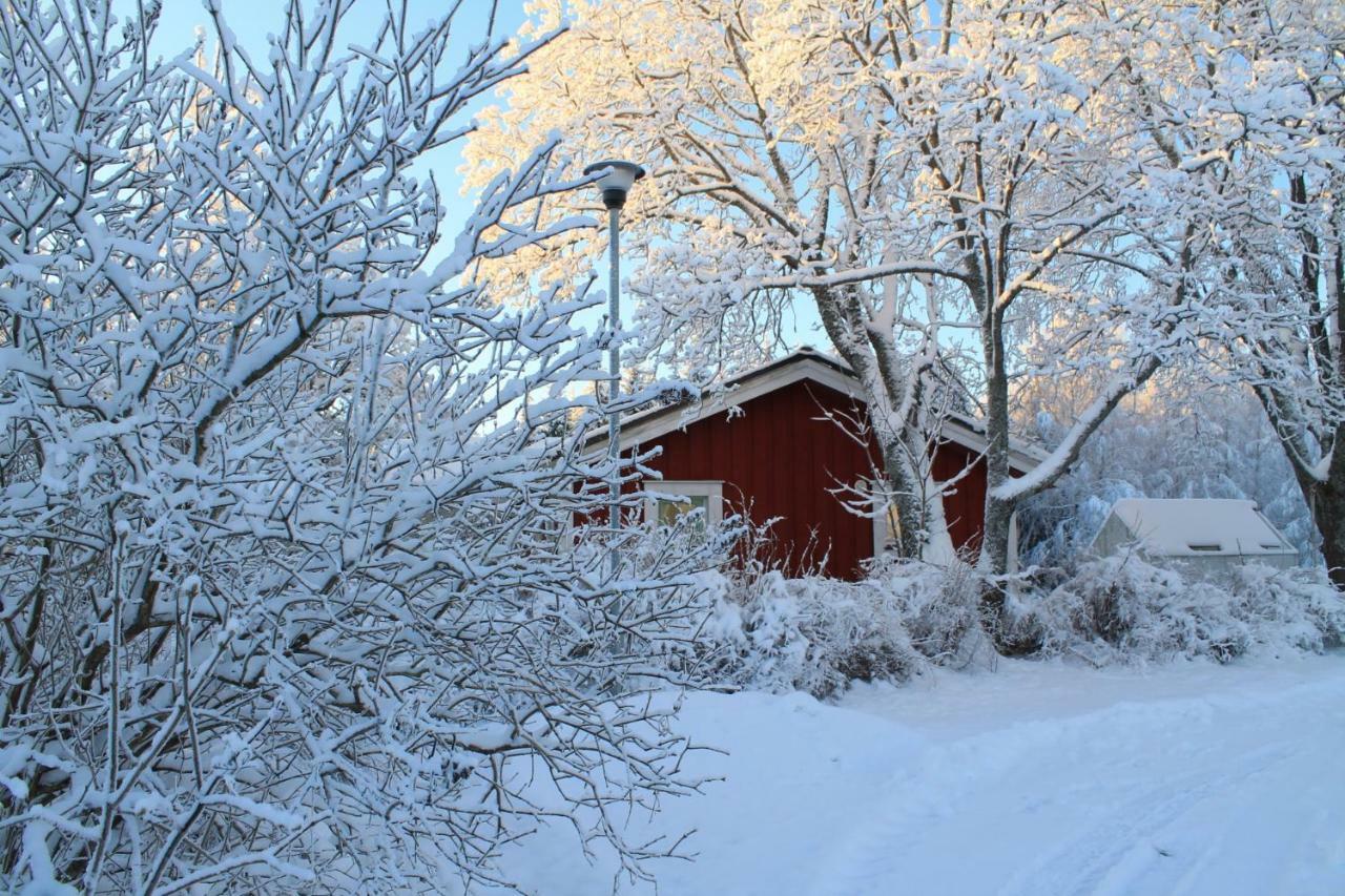 Maatilamatkailu Jaenisvaara Koli  Exterior photo