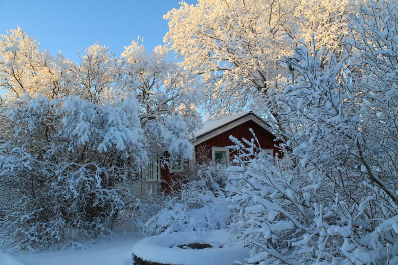 Maatilamatkailu Jaenisvaara Koli  Exterior photo