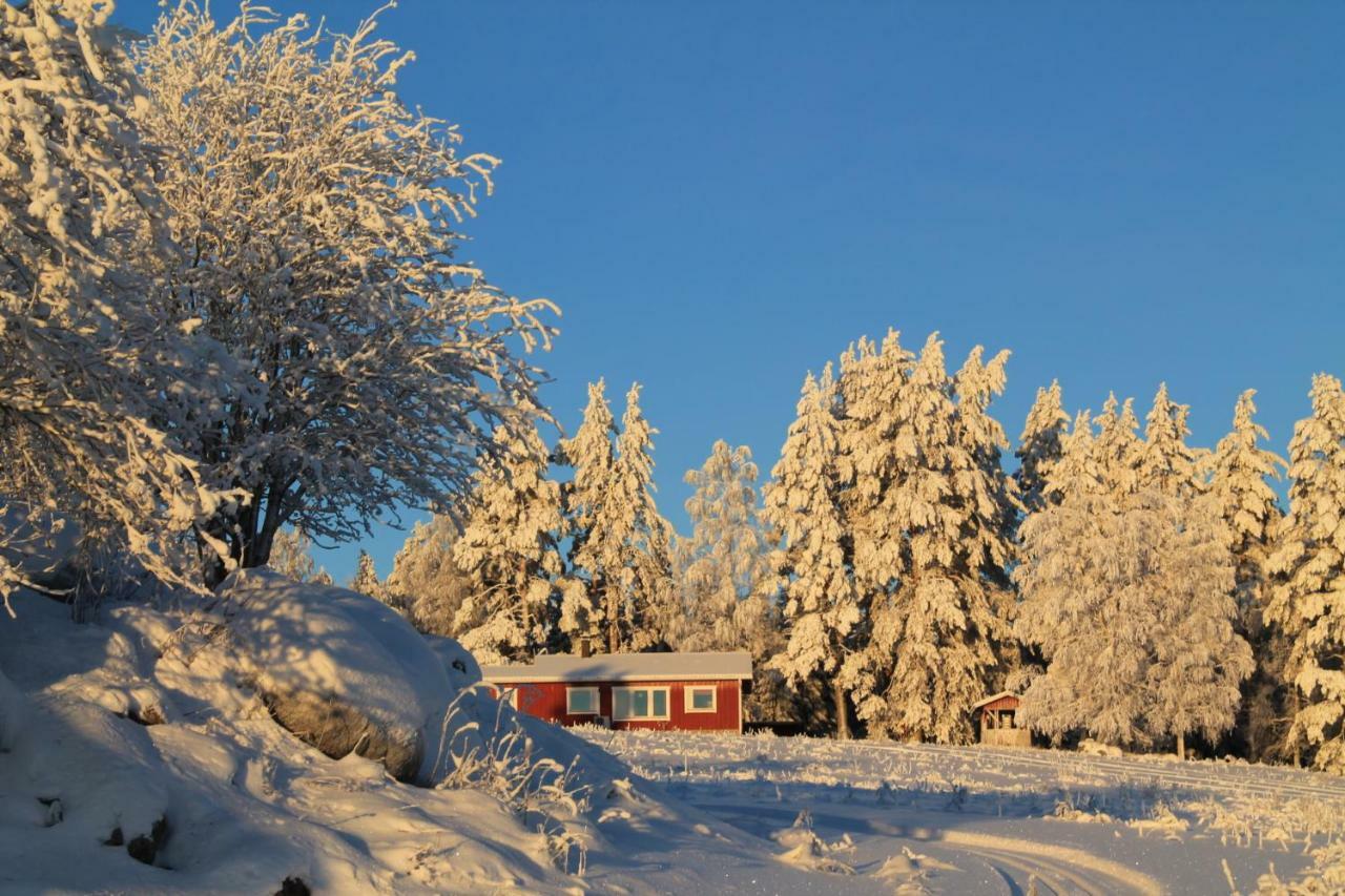 Maatilamatkailu Jaenisvaara Koli  Exterior photo
