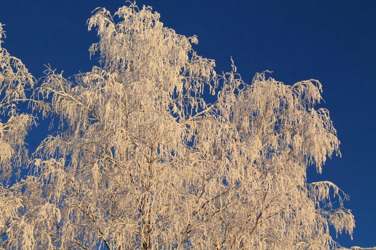 Maatilamatkailu Jaenisvaara Koli  Exterior photo